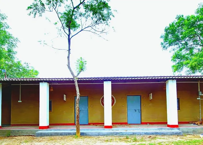 Abar Aranye